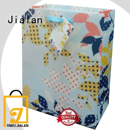 Jialan Eco-Friendly paper gift bag supply for packing birthday gifts