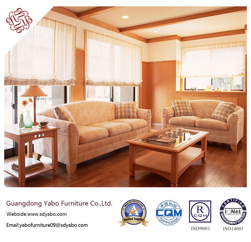 Popular Hotel Furniture with Living Room Sofa Set (YB-S-1006)