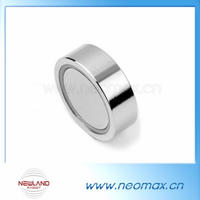 Neodymium Magnetic System/Cup Magnets 
